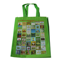 松江LB11覆膜无纺布广告袋